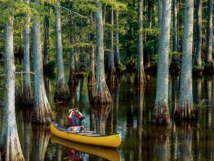 Birding in Arkansas 