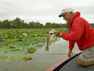 Millwood Lake 