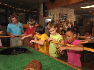 A group of kids enjoying the Forest Wood Nature Center