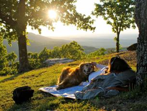 Relaxing with your dog at sunset