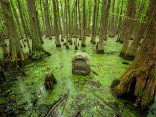 Louisiana Purchase State Park and Natural Area