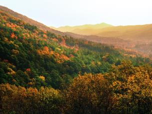 Ouachita National Forest