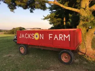 The Jackson Farm in Black Rock offers fall fun for the family