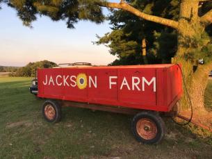 The Jackson Farm in Black Rock offers fall fun for the family