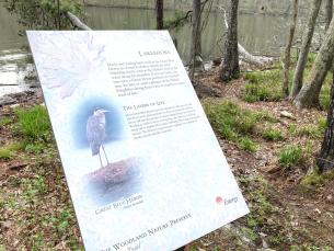 Garvan Woodland Gardens 