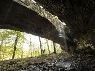 Alum Cove Natural Bridge