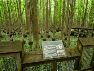 Louisiana Purchase Historic State Park.