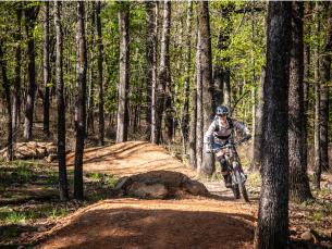 Monument Trails at Pinnacle Mountain State Park. 