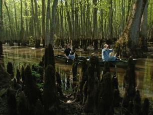 Birdwatching on the waters in the Big Woods