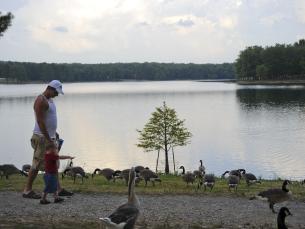 Relax with a stroll along the lake at Craighead Forest Park.