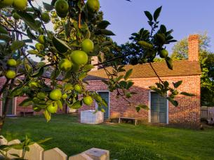 Historic Arkansas Museum