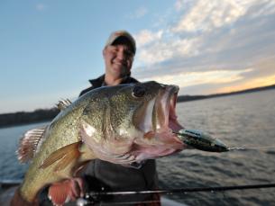 Bass Fishing Norfork Lake