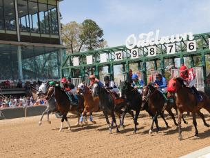 Horse exit the starting gate at Oaklawn Racing Casino