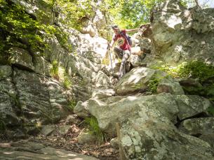 Hiking the East Summit Trail at Pinnacle Mountain State Park