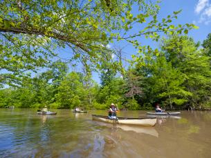 St. Francis Sunken Lands Water Trail