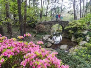 Bridge at Garvan Woodland Gardens in Hot Springs