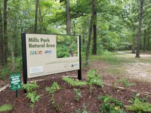 Mills Park Natural Area