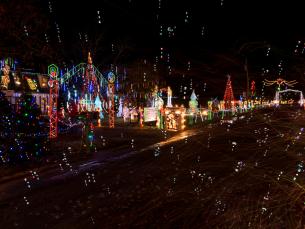 Light up your holidays with a trip to the Lower Delta.