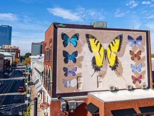 5 Reasons to Visit Little Rock in 2022