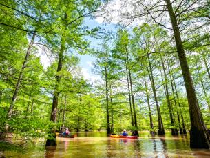 St. Francis Sunken Lands Water Trail