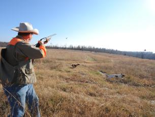 A quail hunter in Arkansas