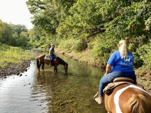 Guided trail rides at Flying Q Farms in Fayetteville, Arkansas