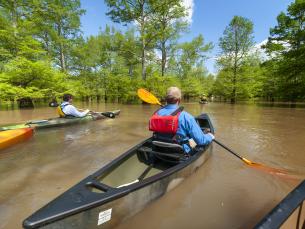 The St. Francis Sunken Lands Water Trail
