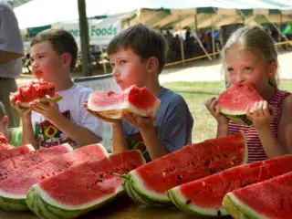 Watermelon 