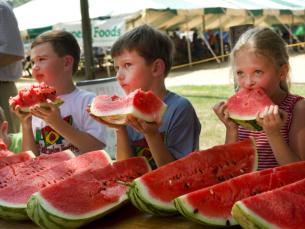 Watermelon 