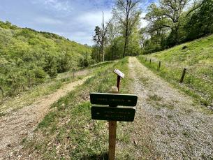 Spring Garden Trail in Eureka Springs