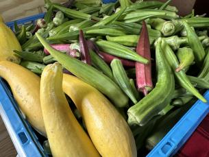 Vegetables from Drewry Farm & Orchards