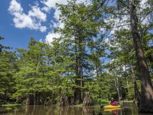 Bayou Bartholomew is the longest bayou in the world. 