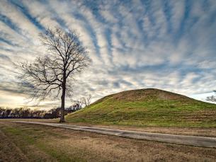 Plum Bayou Mounds Archeological State Park.