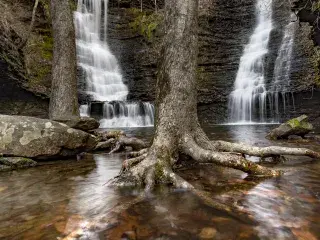 Wildman Twin Falls 