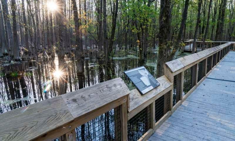 Louisiana Purchase State Park