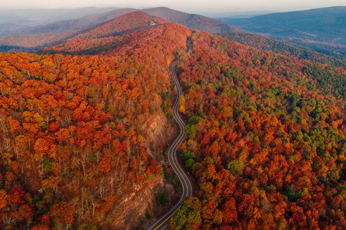 Winding road through vibrant autumn forest and rolling hills.