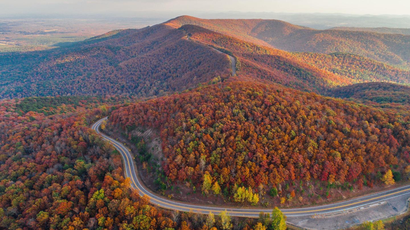 Curving road through vibrant autumnal hills with distant mountains.