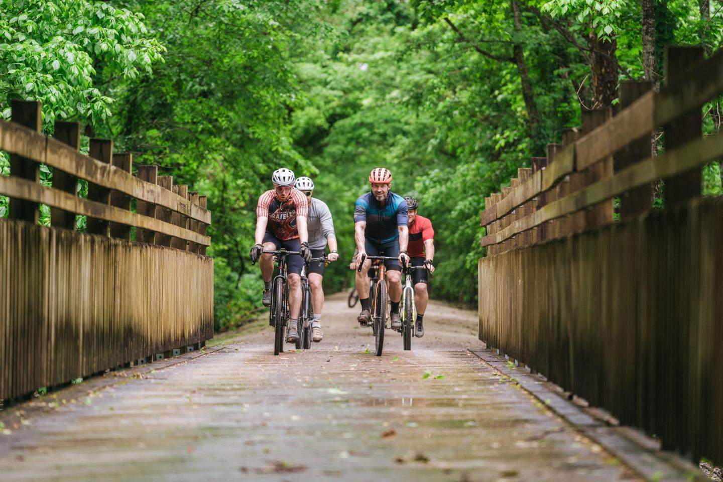 Cyclists riding on a wooden path surrounded by lush green trees.