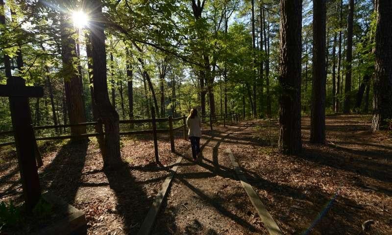 Escape at Logoly State Park