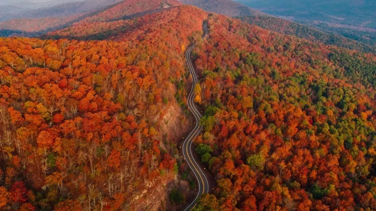 Curving road through vibrant autumn forest on a hillside.