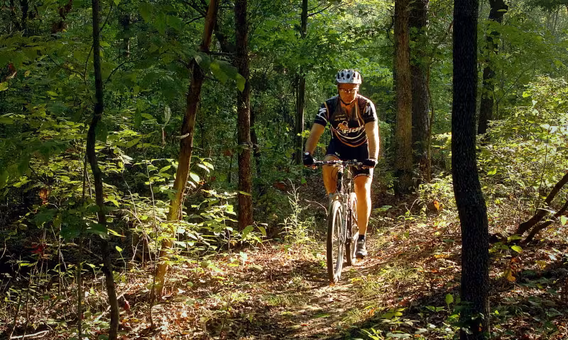 Cyclist riding through a sunlit forest trail.