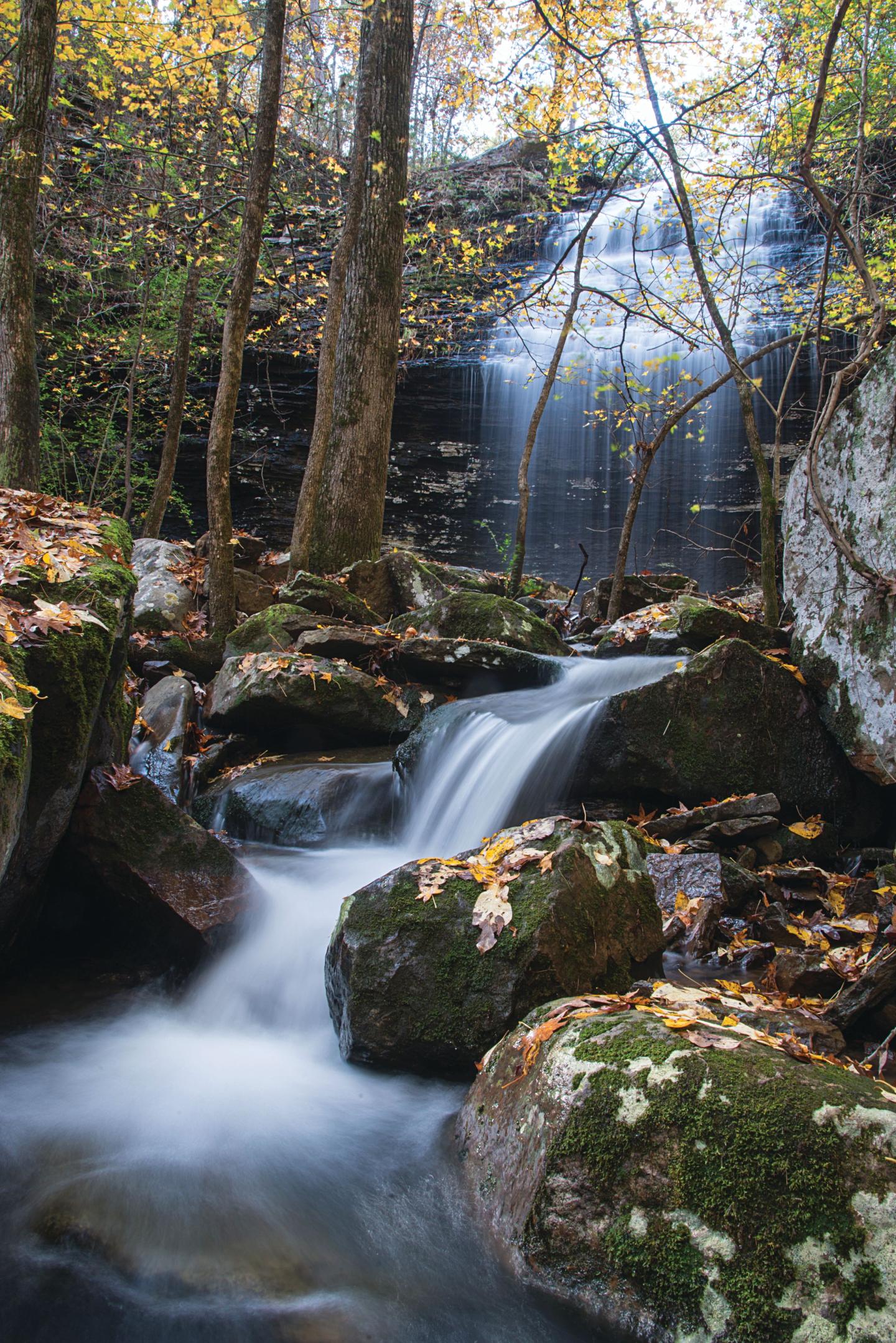 Waterfall flowing through a forest with autumn leaves and mossy rocks.