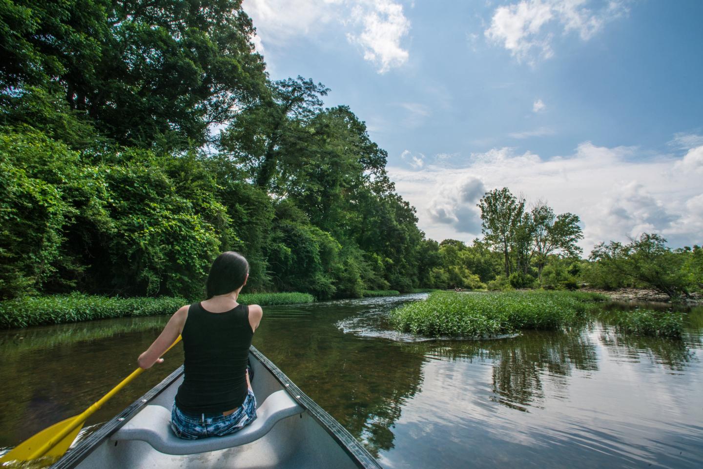 Canoeing on a tranquil river surrounded by lush greenery and a blue sky.
