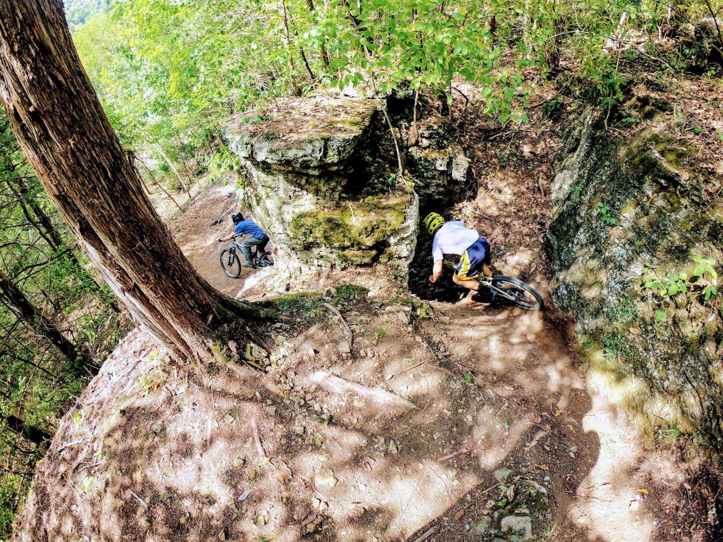 Mountain bikers navigate a rocky forest trail.