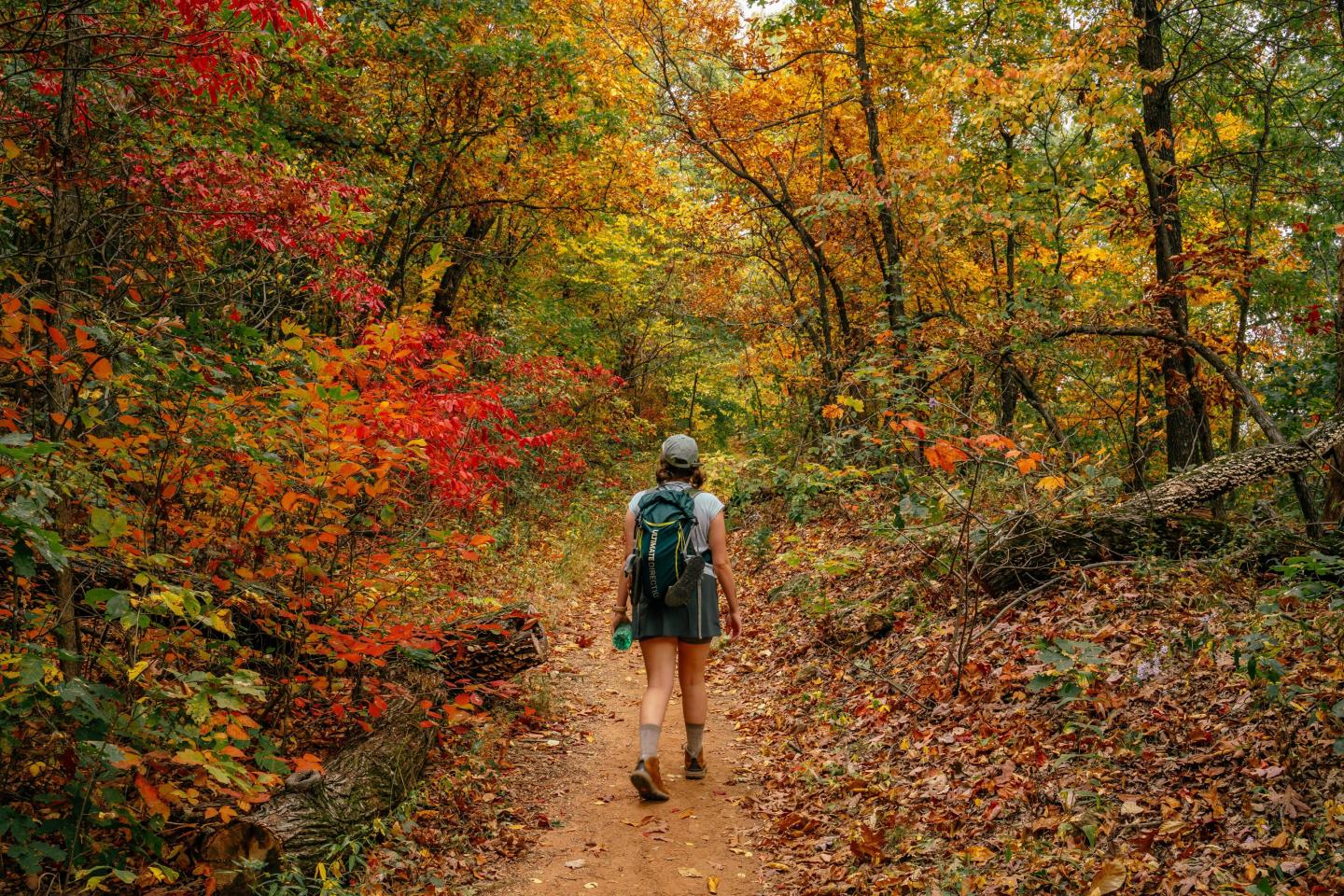 Person hiking through colorful autumn forest trail.