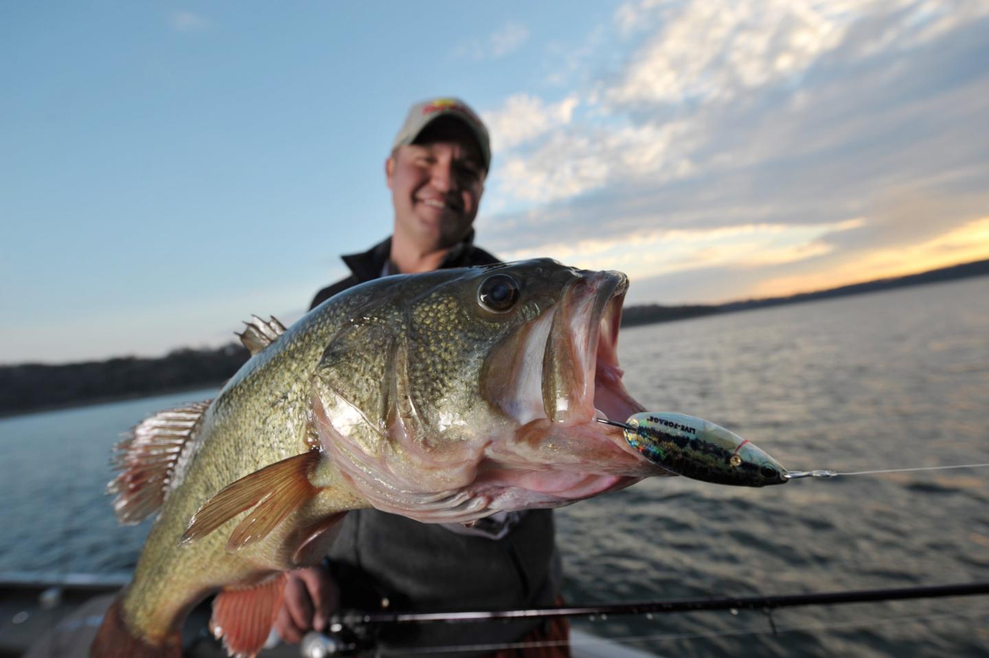 Man holding a large fish on a boat at sunset.