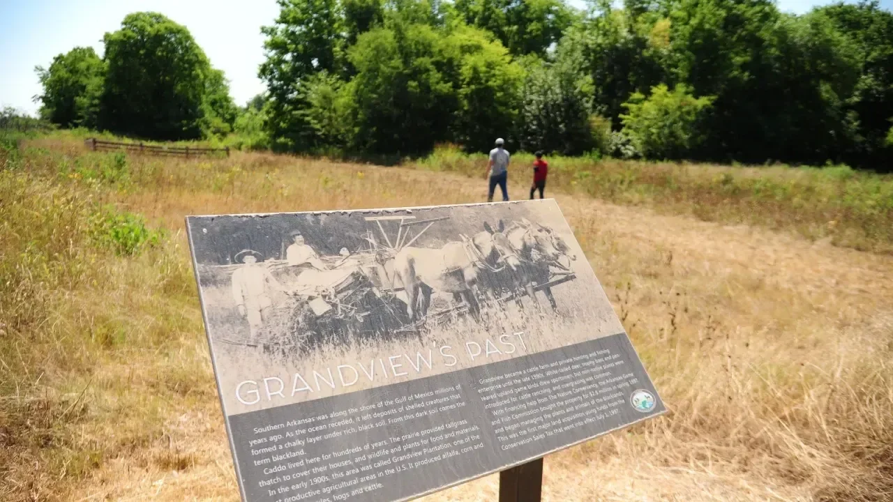 Interpretive sign in grassy field with two people in the distance.