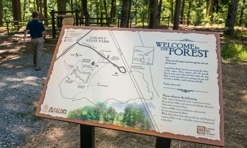 The roots of Logoly reach through the soil &amp; into the past
