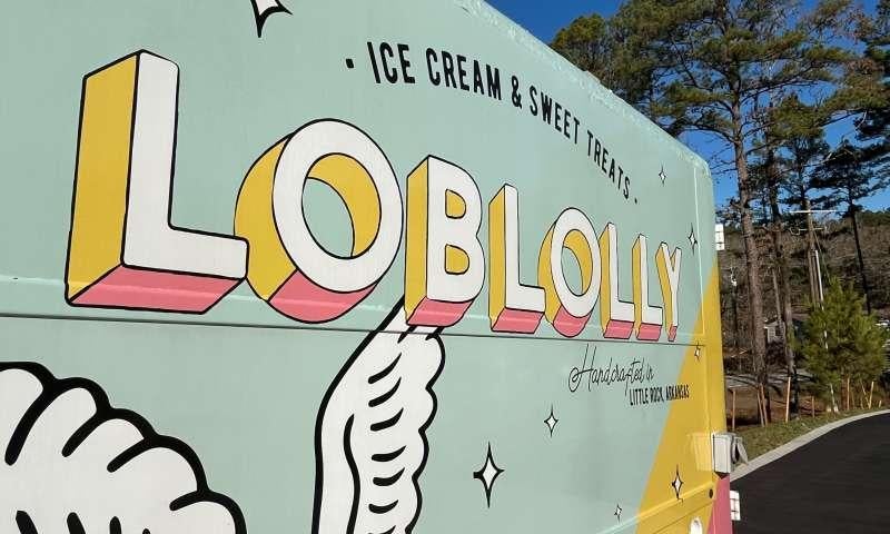 Pinnacle Mountain State Park