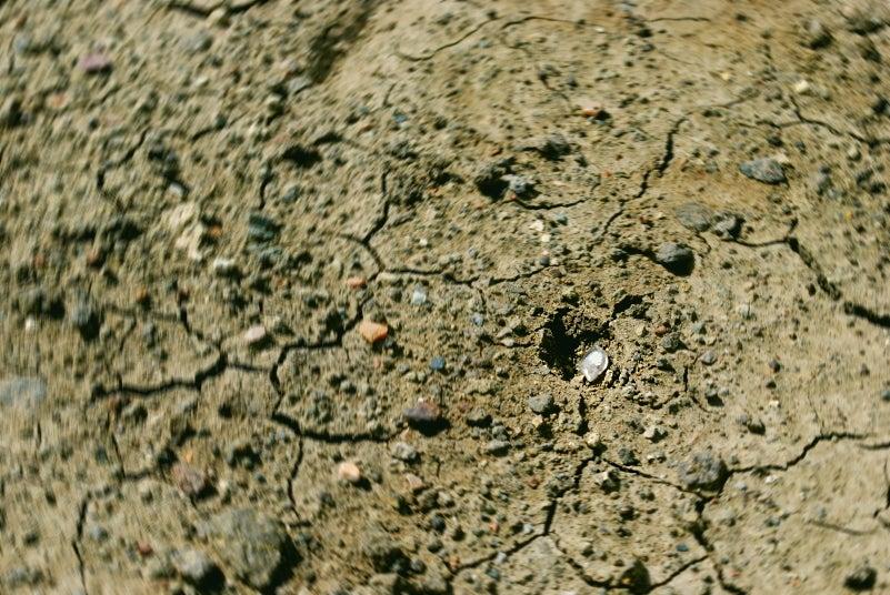 Cracked dry earth with small rocks scattered.
